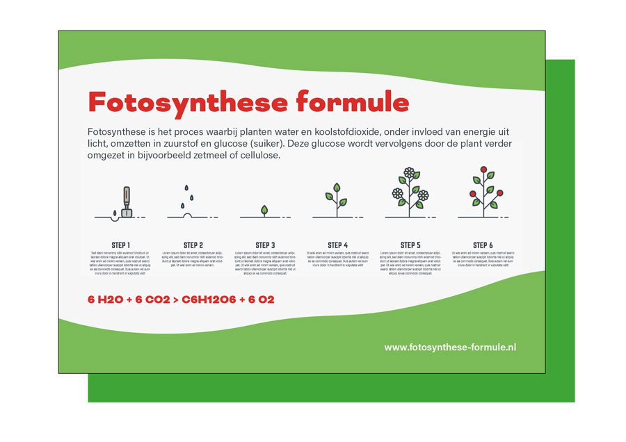 Flyerhuis voorbeeld 6